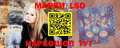 мяу мяу мука Малоярославец