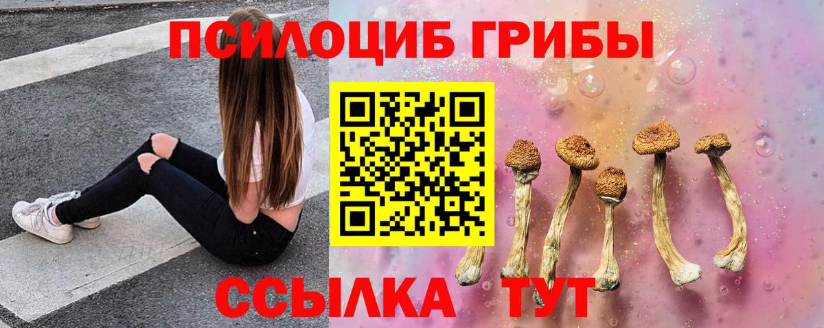 Галлюциногенные грибы Magic Shrooms Сланцы
