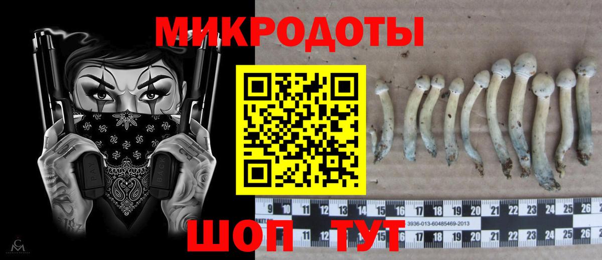 Галлюциногенные грибы Magic Shrooms  Вход с VPN  Псилоцибиновые грибы Magic Shrooms  дарнет шоп  Сланцы 